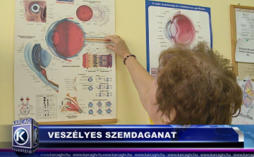 VESZÉLYES A SZEMDAGANAT
