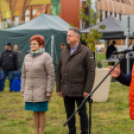 Traktoros ügyességi verseny