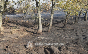  Harminc hektár égett le Kunmadarasnál
