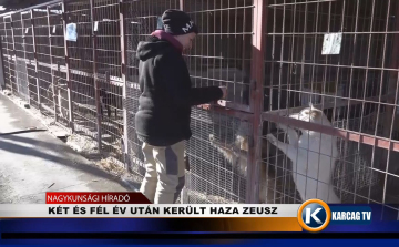 KÉT ÉS FÉL ÉV UTÁN KERÜLT HAZA ZEUSZ