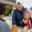 Traktoros ügyességi verseny