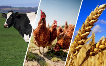 Egyre többen választják az agrár felsőoktatást