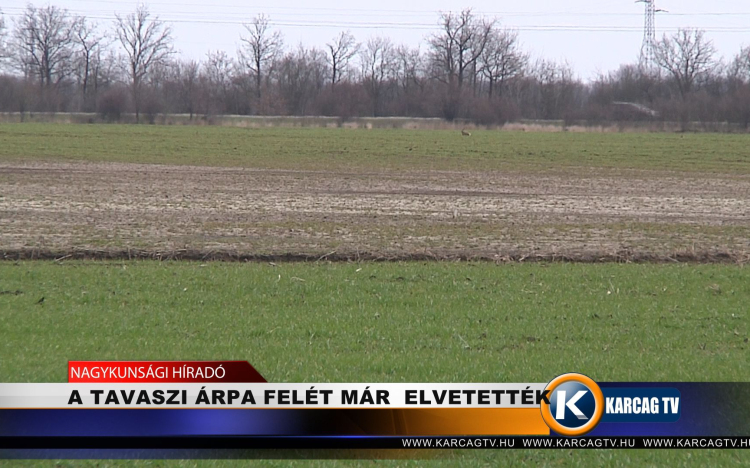 A TAVASZI ÁRPA FELÉT MÁR ELVETETTÉK