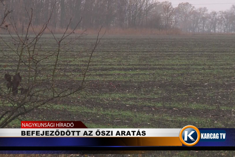 BEFEJEZŐDÖTT AZ ŐSZI ARATÁS