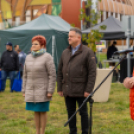 Traktoros ügyességi verseny