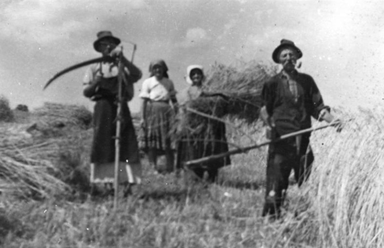 Érdekes történetek a huszadik századból • 9. rész