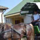 A Szentannai Középiskola ballagása