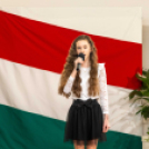 Magyar Kultúra Napja Karcagon