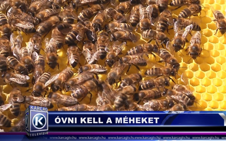 Óvni kell a méheket