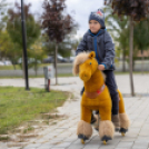 Traktoros ügyességi verseny