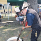 A legjobb pörköltet a karcagi Szabó Péter főzte