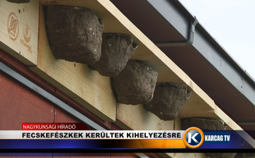 FECSKEFÉSZKEK KERÜLTEK KIHELYEZÉSRE 