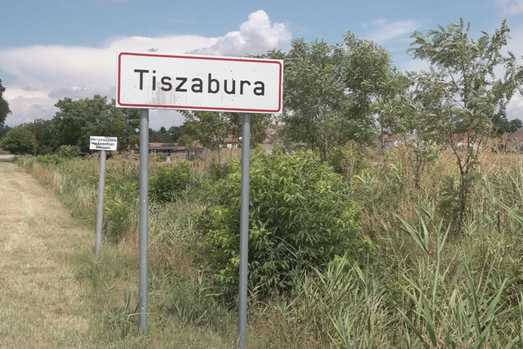 MINDENT VITT A TOLVAJ