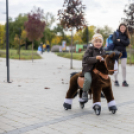 Traktoros ügyességi verseny