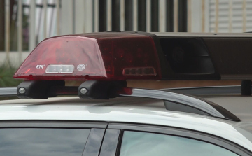 ŐRIZETBEN A KARCAGI TOLVAJ