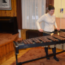Zene világnapján