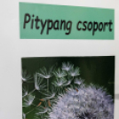 Tiszaág Integrált Szociális Intézmény átadója