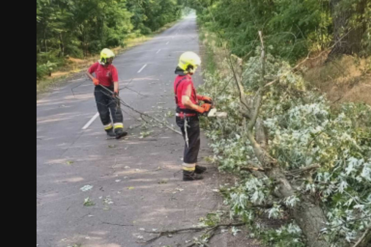 Kisebb beavatkozások a tegnapi vihar után
