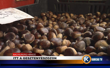 ITT A GESZTENYESZEZON
