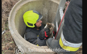  Kútból mentettek kismacskát Tiszaszentimrén