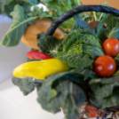 Magyarország Legszebb Konyhakertjei országos díjátadó