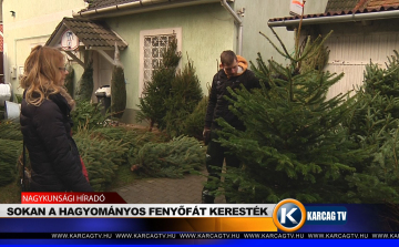 IDÉN IS ROHAM VOLT A FENYŐFÁKÉRT