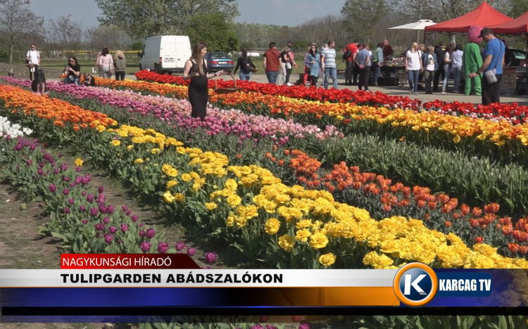 TULIPGARDEN ABÁDSZALÓKON