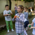 Fecskevató a Györffyben