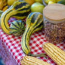 Magyarország Legszebb Konyhakertjei országos díjátadó