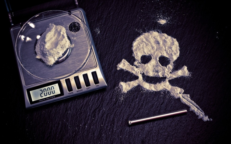 Kétszázhuszonöt kilogramm kokaint foglaltak le Németországban