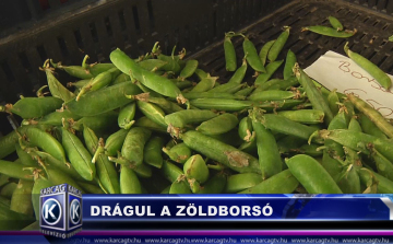 Drágul a zöldborsó