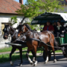 Ballagás 2013 • Szentannai Sámuel Gimnázium, Szakközépiskola és Kollégium