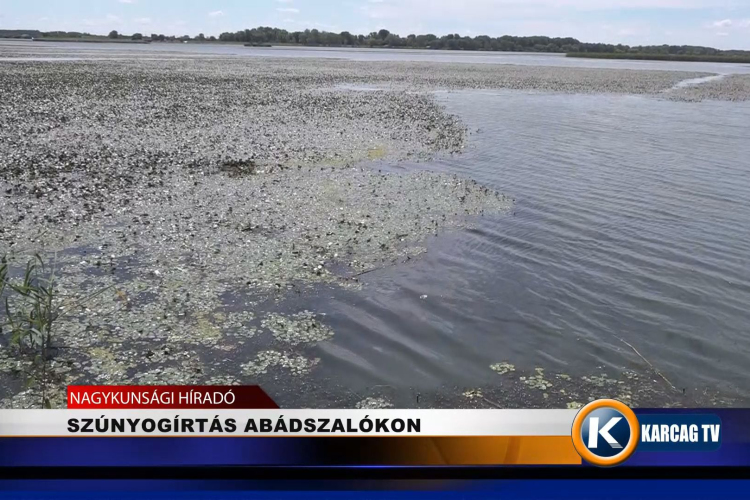 SZÚNYOGÍRTÁS ABÁDSZALÓKON 