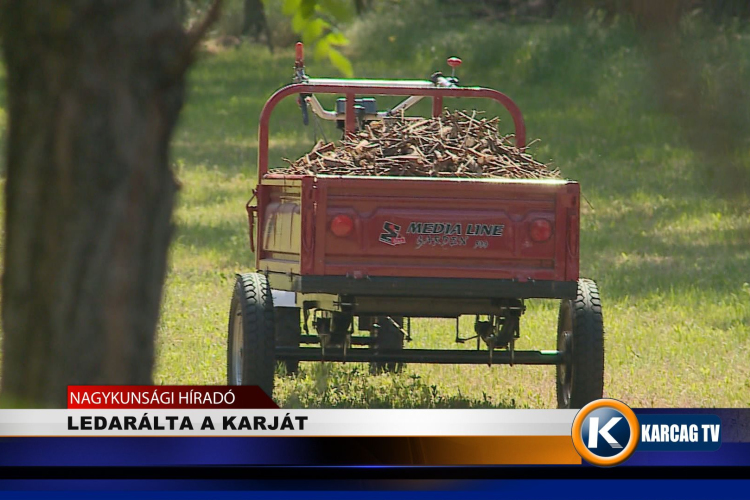 LEDARÁLTA A KARJÁT