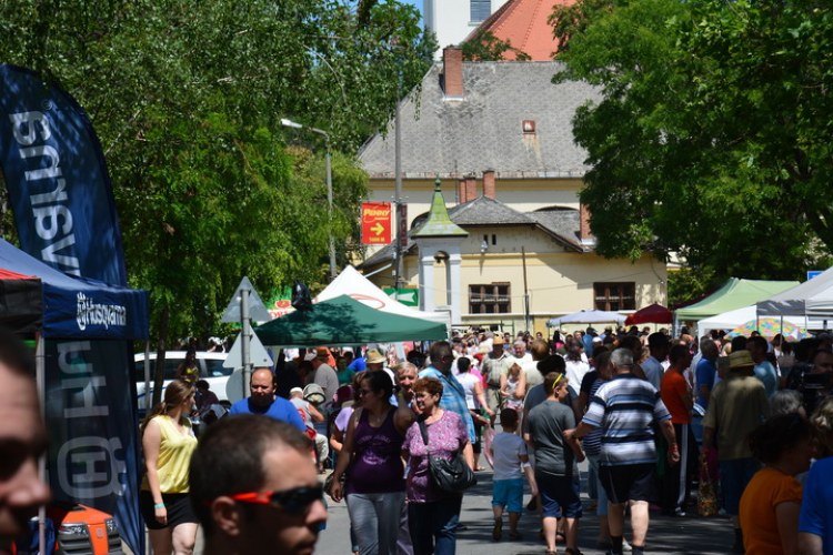 XIX. Karcagi Birkafőző Fesztivál