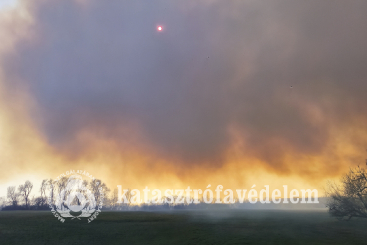  Tíz hektár égett le Fegyverneknél