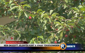 NEM OKOZOTT JELENTŐS KÁRT A VIHAR TÉRSÉGÜNKBEN AZ UTÓBBI IDŐBEN