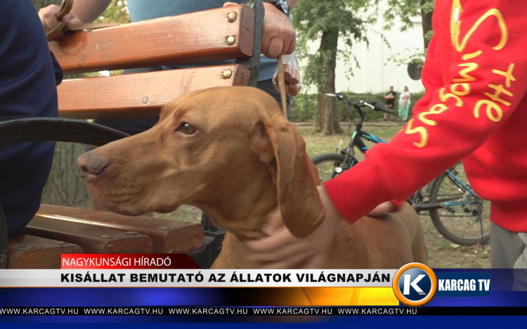 KISÁLLAT BEMUTATÓ AZ ÁLLATOK VILÁGNAPJÁN