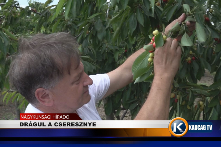 DRÁGUL A CSERESZNYE