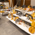 Pályaválasztási Nap Karcagon