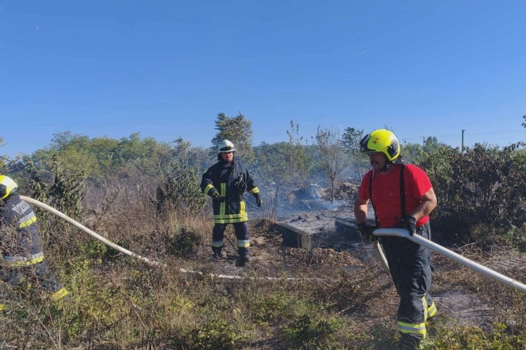 KERTI HULLADÉK ELÉGETÉSE