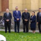 Búzaszentelés