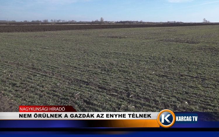 NEM ÖRÜLNEK A GAZDÁK AZ ENYHE TÉLNEK