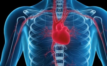 Szívbetegséget okozhat az arzén