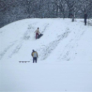 40 éves a Hortobágyi Nemzeti Park